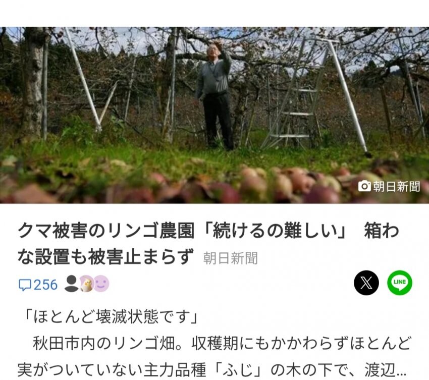 곰 때문에 지옥도가 펼쳐진 일본 근황_2.jpg