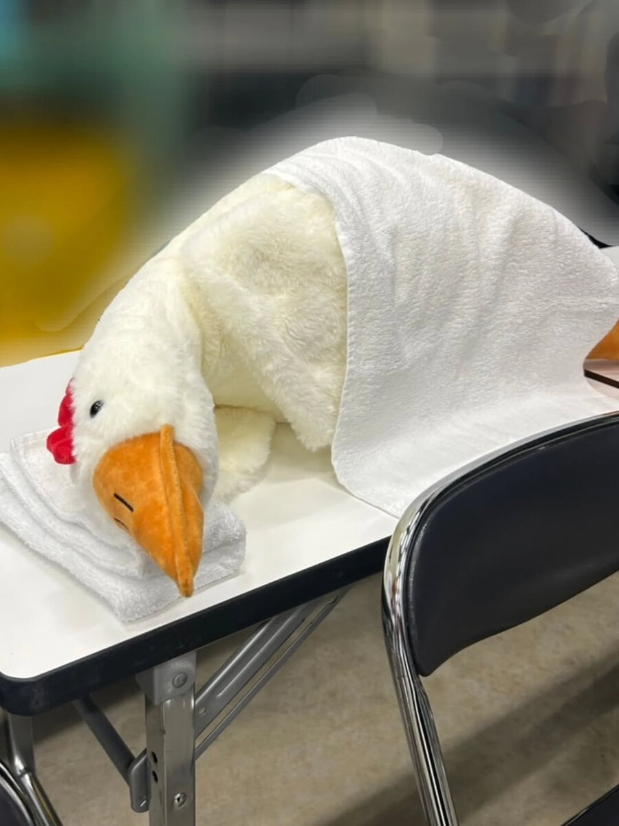 『러브라이브! 하스노소라』11월 17일 유우기리 츠즈리 생일축하 코멘트(2025)_5.jpg