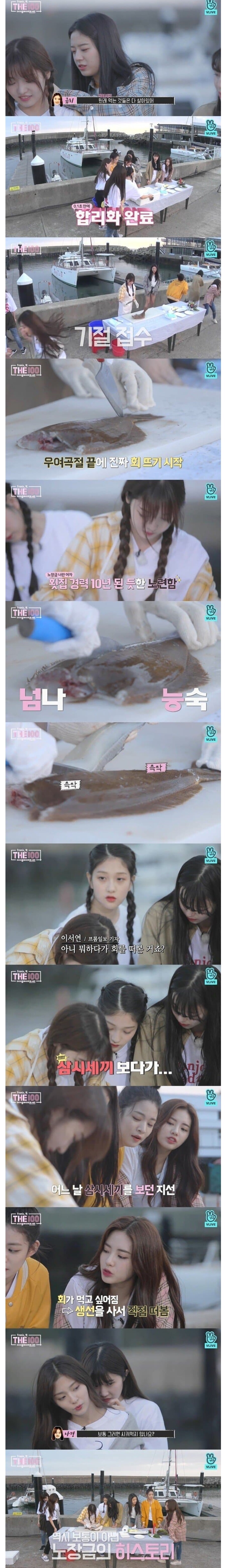 백종원 vs 걸그룹 회뜨기 대결_2.jpg