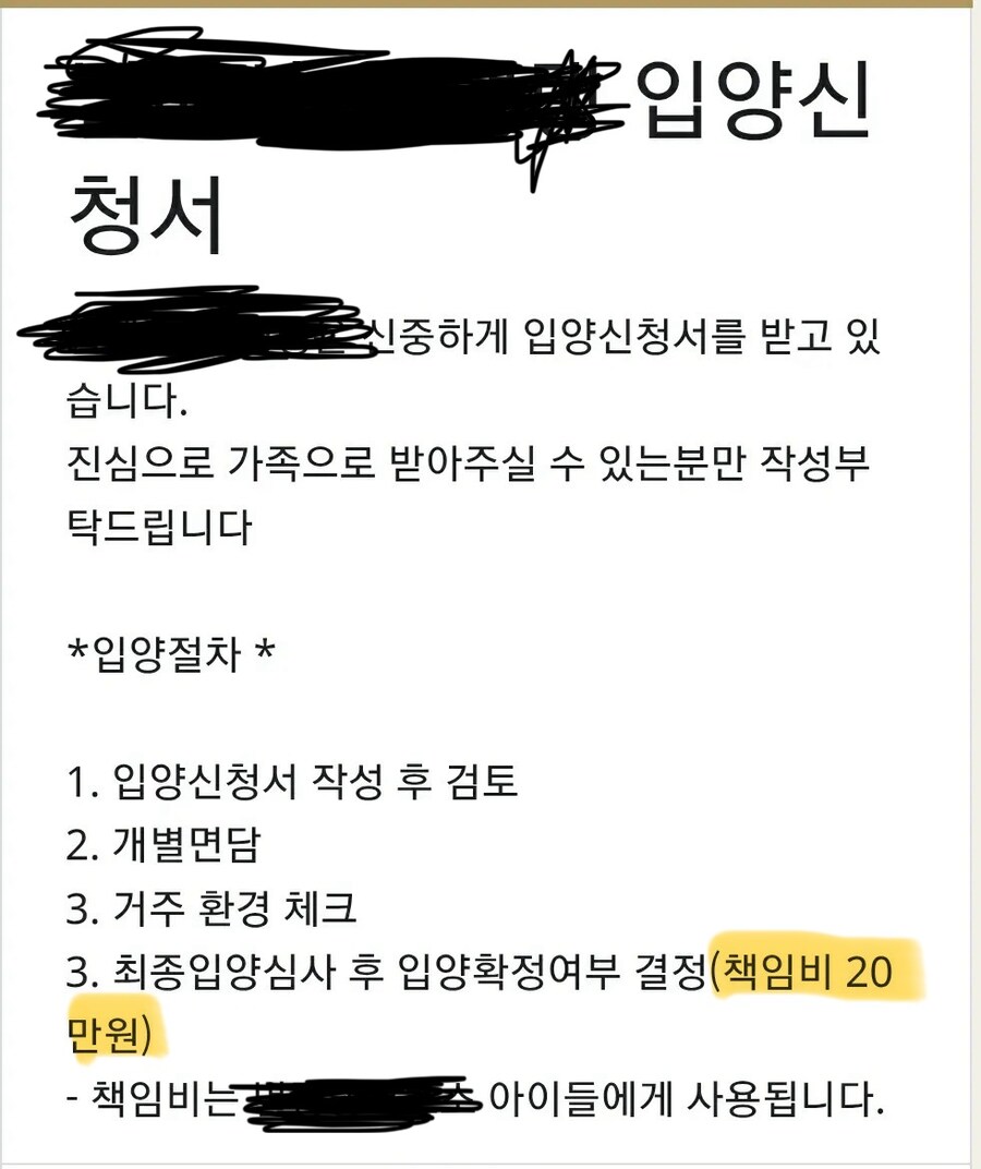 ???: 왜 우리 고양이는 입양을 가지 못할까??_2.jpg