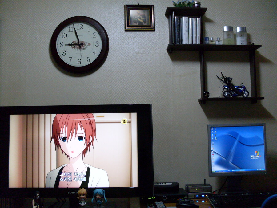 철들지 못한채 시간이 멈춰버린 50세 방사진_21.jpg