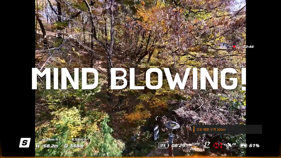 그 누구도 해보지 않았을 도심 숲속 dji NEO2 극한테스트 비행 리뷰_15.jpg