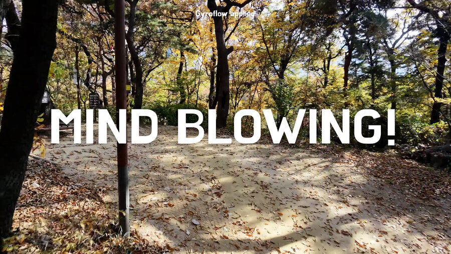 그 누구도 해보지 않았을 도심 숲속 dji NEO2 극한테스트 비행 리뷰_16.jpg