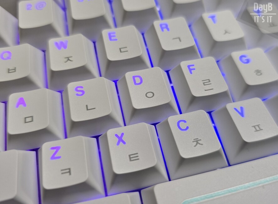 CHERRY XTRFY MX 8.2 PRO TMR TKL 마그네틱키보드 후기_19.png