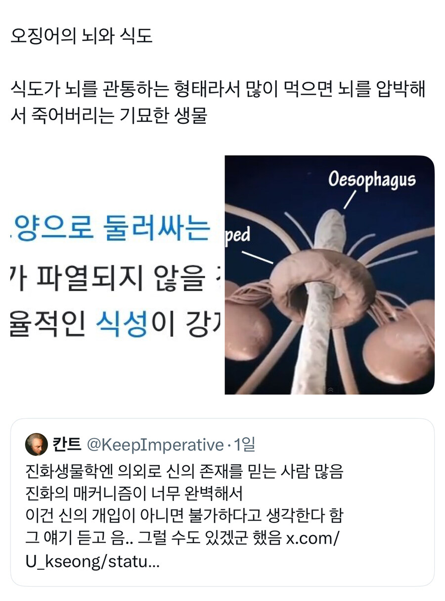 진화론 관련 가장 어이 없는 의견_1.jpg