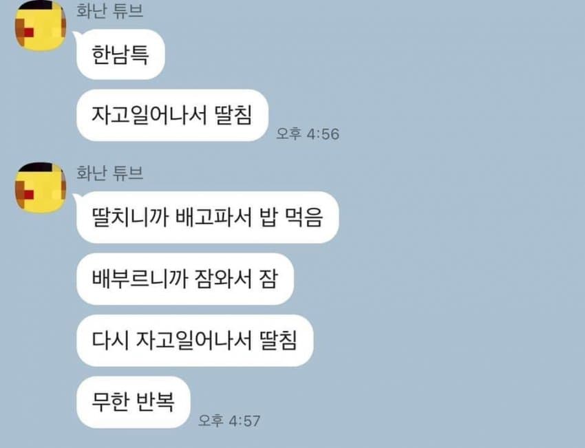 페미가 생각하는 한남의 하루_1.jpg