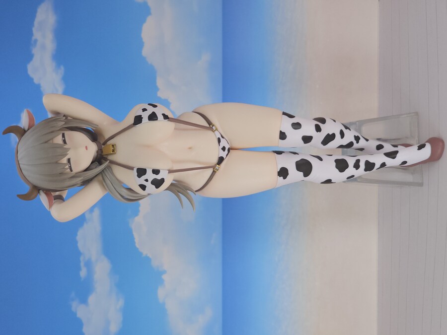 올 한해 받은 피규어들(많음)_40.jpg