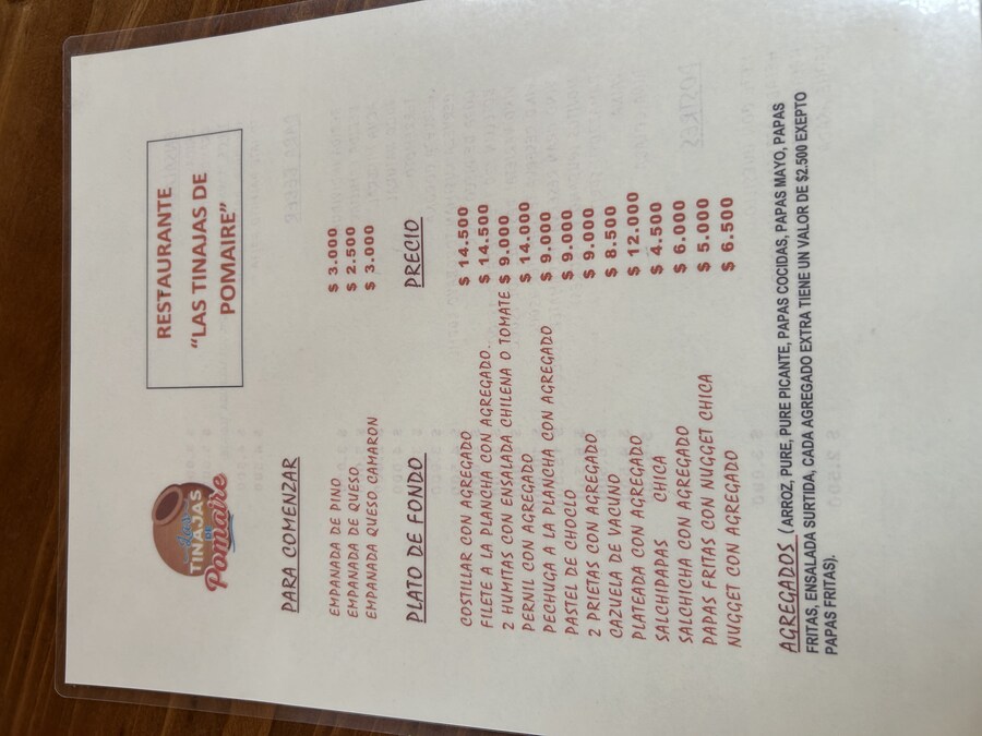 칠레 처갓집 방문기 (5) 14일차 : 뽀마이레_14.jpg