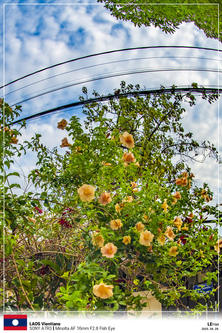 [LAOS] 4월의 라오스 비엔티안 Part VII_15.jpg
