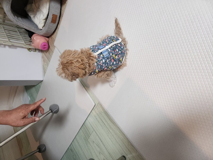 무슨무슨법을 회피하기 위한_1.jpg