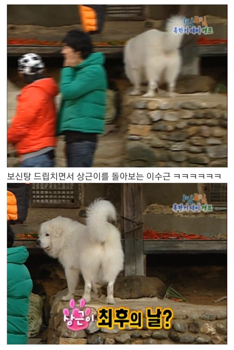 옛날 예능처럼 맘놓고 드립치면 안되는걸까_3.jpg