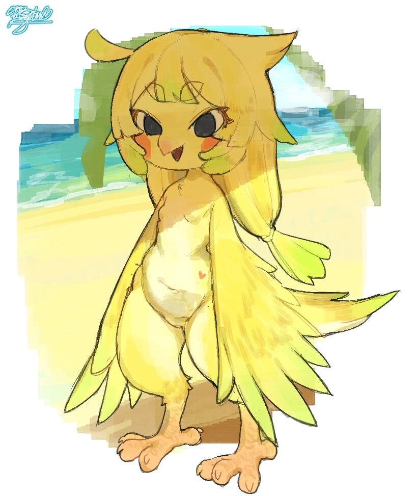 새 퍼리 두장_2.jpg