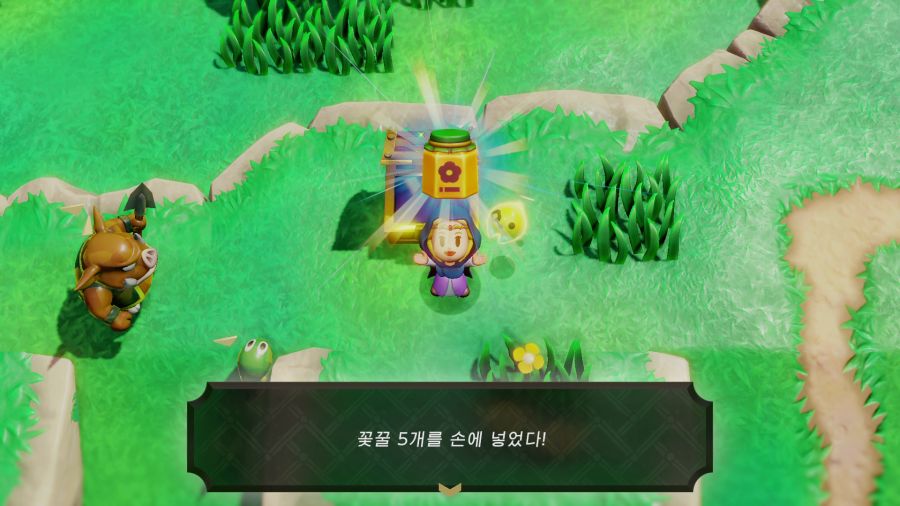 젤다의 전설 지혜의 투영_27.png