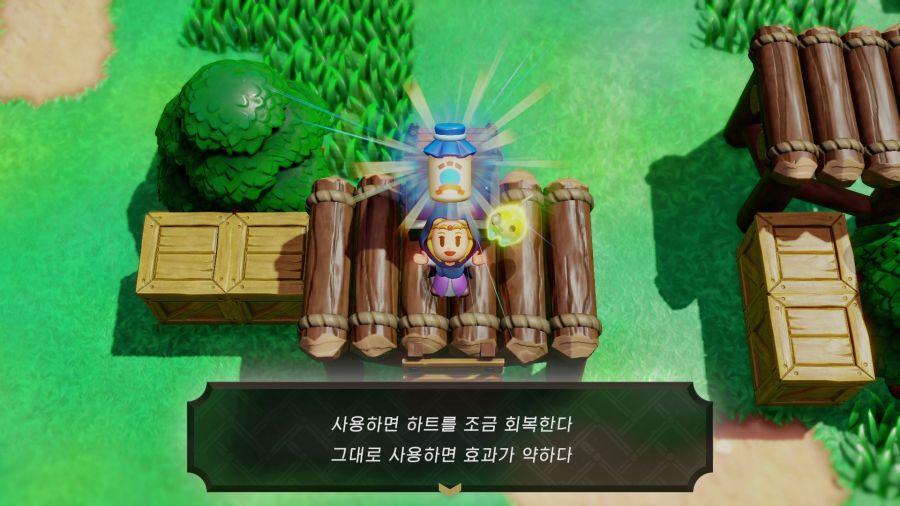 젤다의 전설 지혜의 투영_30.png