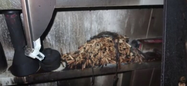 인방) 하마터면 큰 화재를 일으킬뻔한 스트리머_4.png