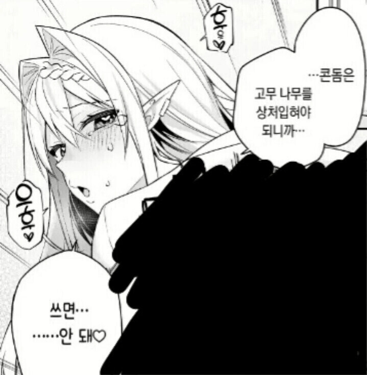 엘프가 콘돔을 쓰지 않는 이유_1.jpg