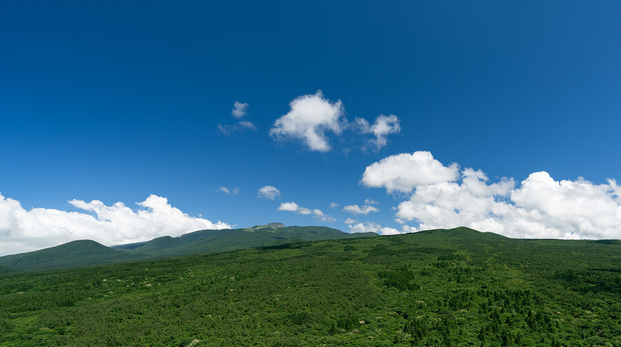 2025년 제주의 풍경들_9.jpg