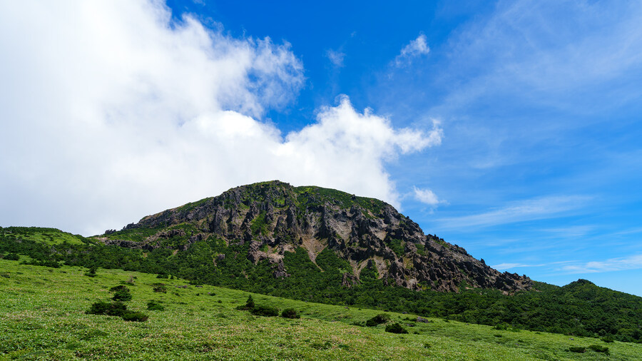 2025년 제주의 풍경들_11.jpg