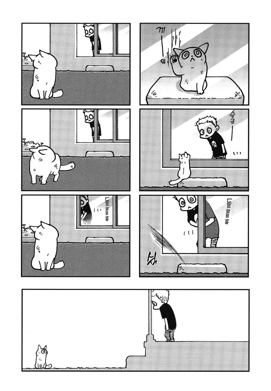 "빌어먹을 도둑고양이가 창문을 긁어댔어요"_2.jpg