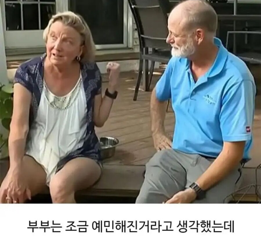 미용실다녀오니 성격 나빠진 골든리트리버ㅋㅋ_4.jpg