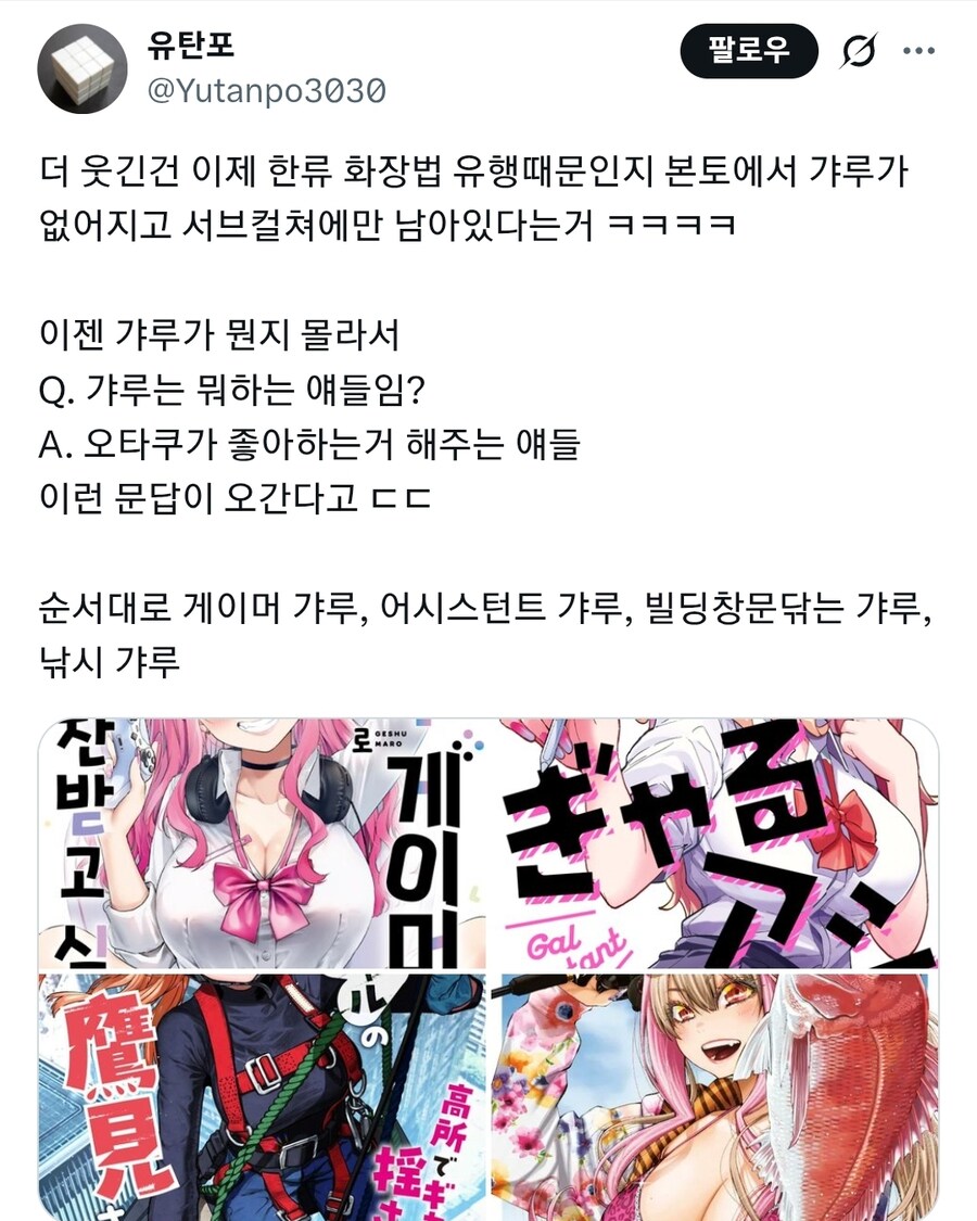 일본 본토에서 멸종당하는 중이라는 갸루_1.jpg