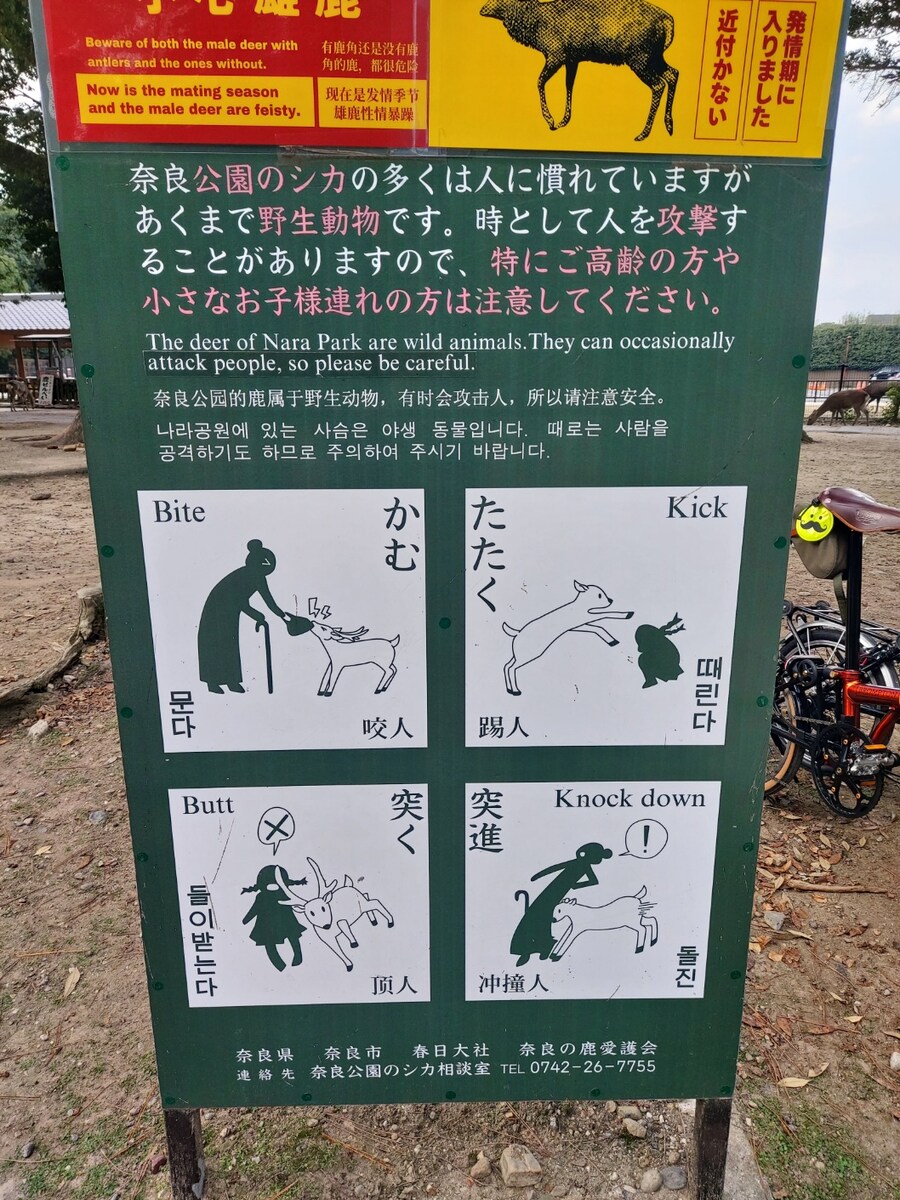 나라 사슴공원_1.jpg