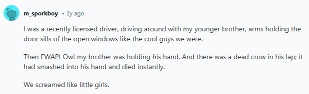 애스크레딧)대낮에 본 것 중 가장 소름 끼치는 건 뭐였어?(5/5)_6.png