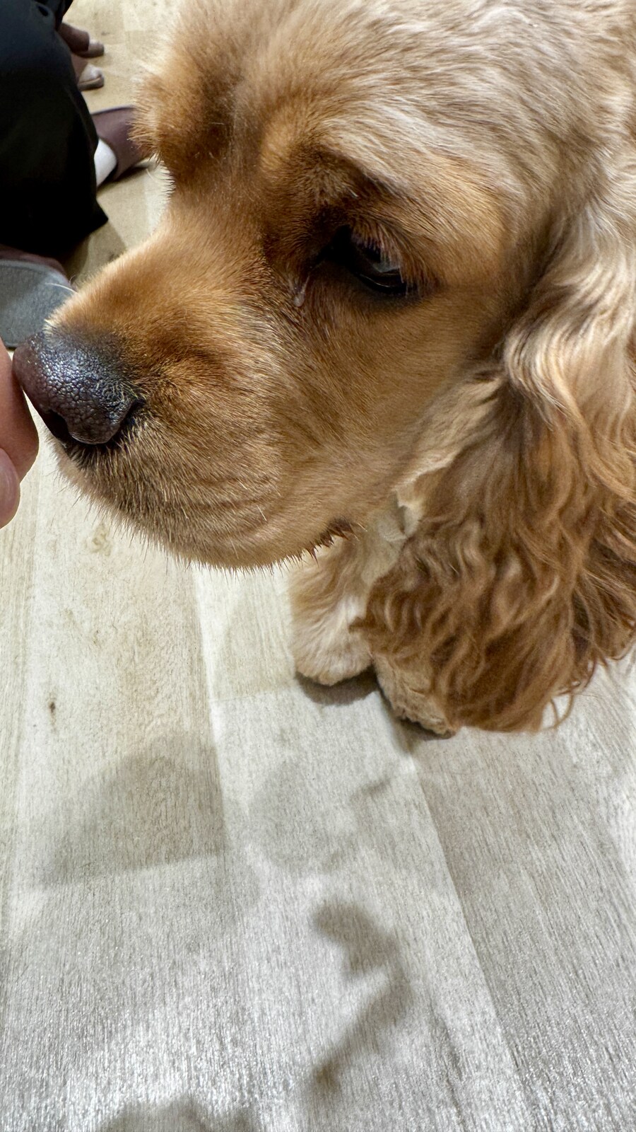 도쿄 일주일 덕질 투어 5일차_27.jpg