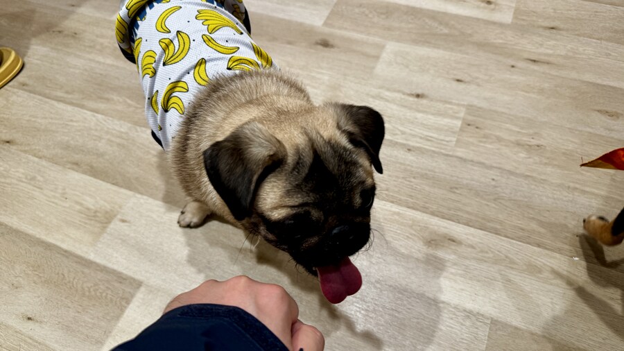 도쿄 일주일 덕질 투어 5일차_28.jpg