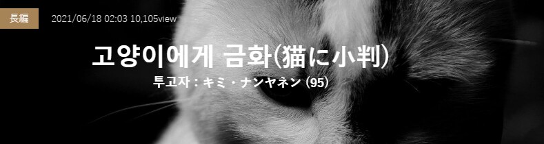 기기괴괴)고양이에게 금화_2.png