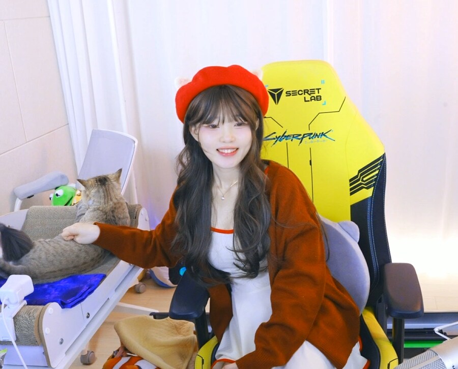 새봄TV] 하숙생이 전부 미녀입니다만?2(실사미연시)+아이온2_3.png