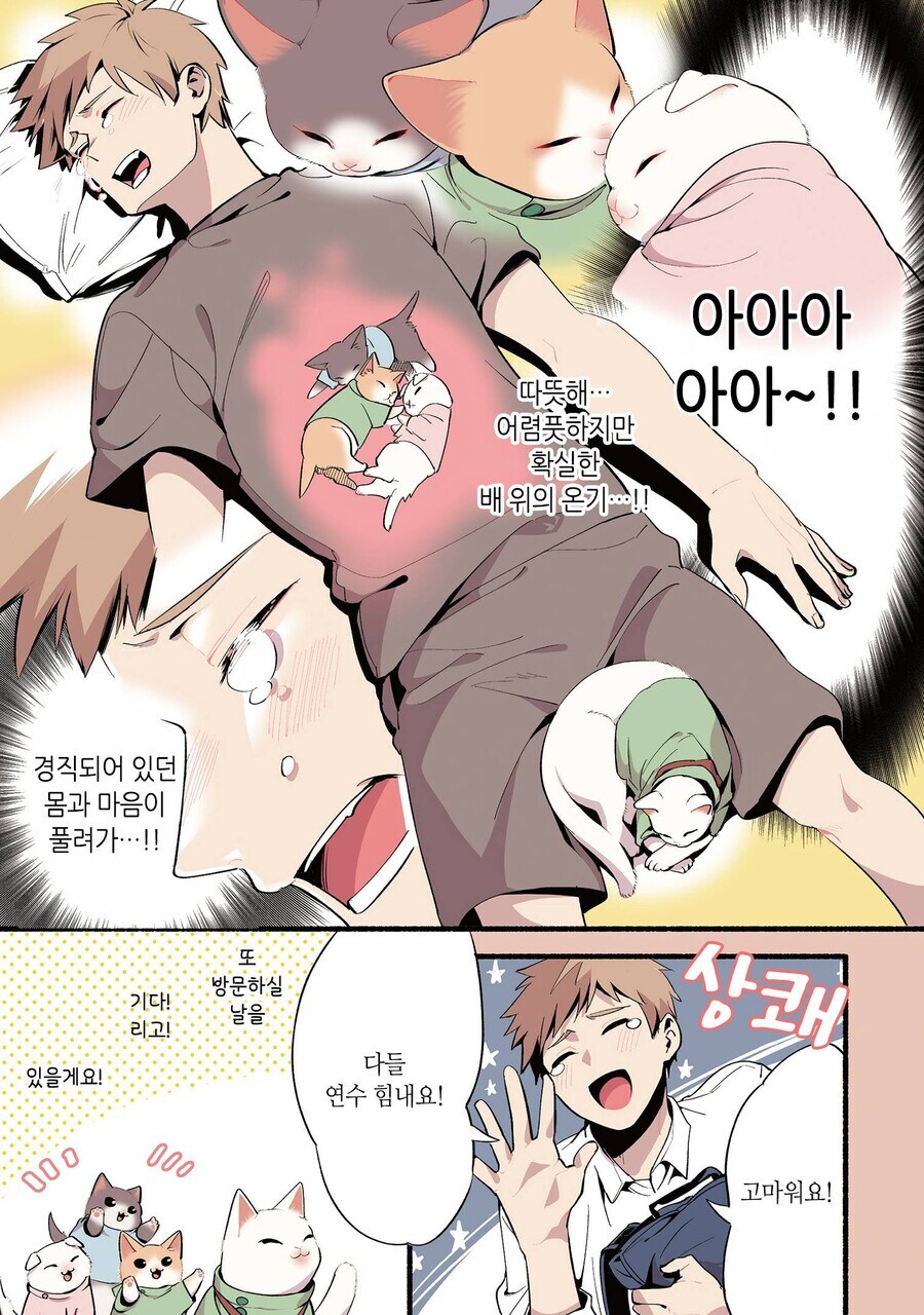 고양이가 마사지해주는 만화_10.jpg