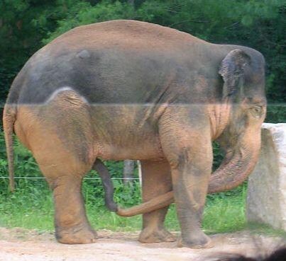 또다시 유게가 ↗지랄이났으메 너희들이 이 ↗을 불러왔느니라_1.jpg