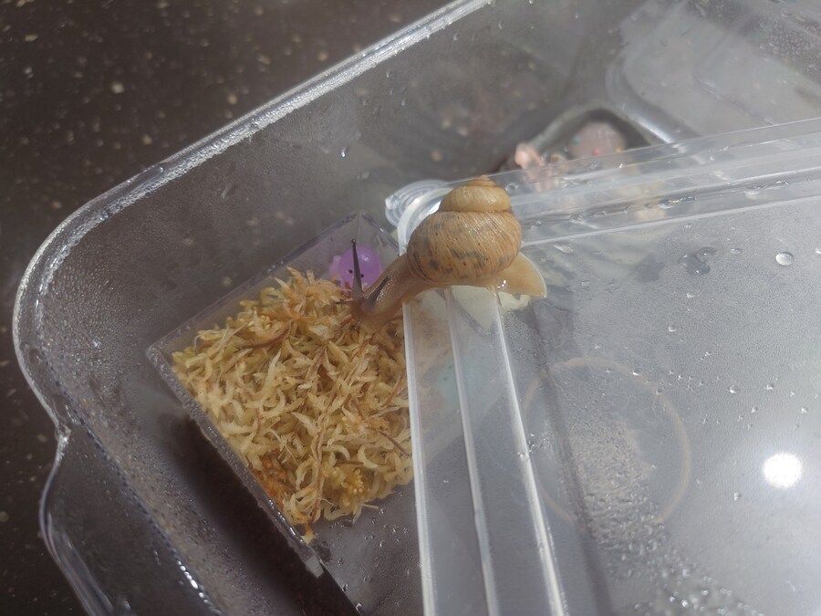 아무도 안궁금할 달팽이집_3.jpg