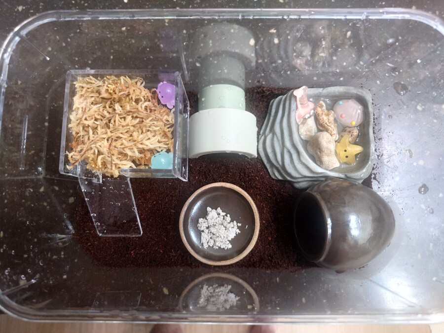 아무도 안궁금할 달팽이집_1.jpg