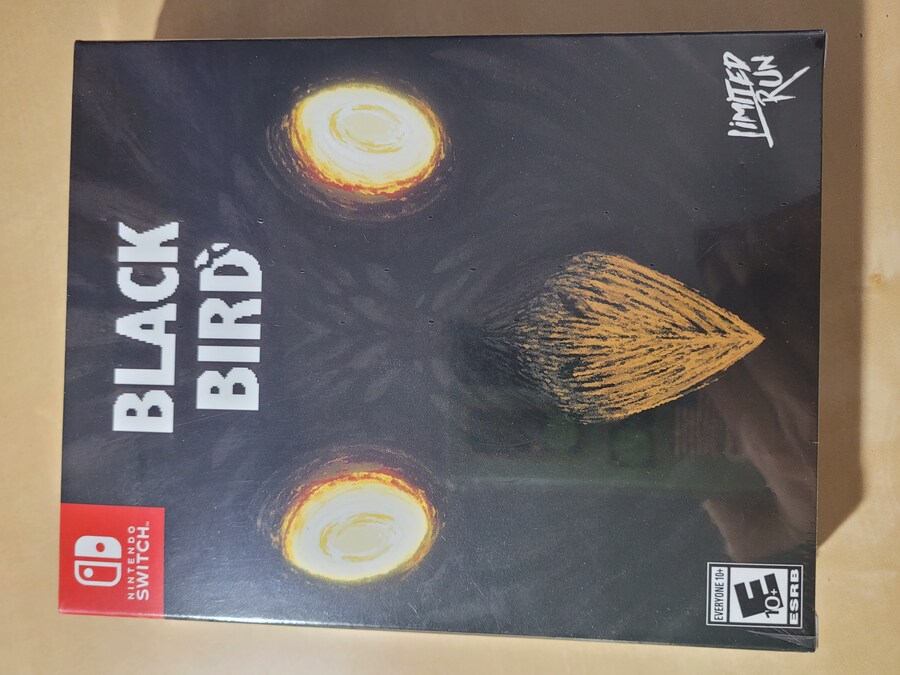 [SWITCH] 블랙 버드_1.jpg