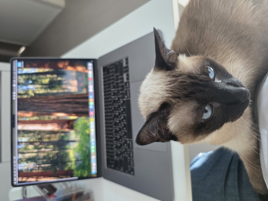 주천 초원가든 생선구이_11.jpg