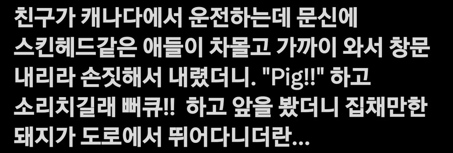 아시안에게 '돼지야!'발언한 캐나디언_1.jpg