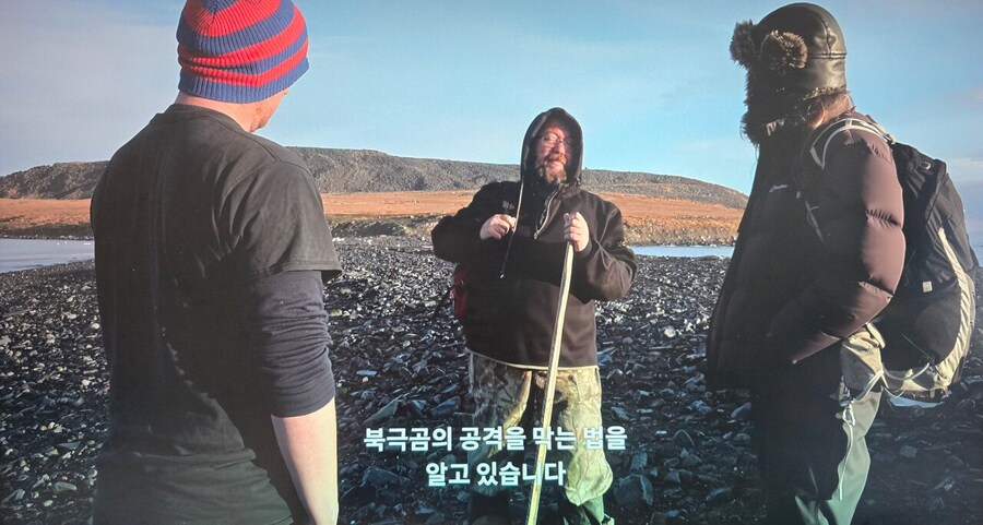 북극곰 만났을 때 살 수 있는 의외로 쉬운 방법.JPG_2.jpg