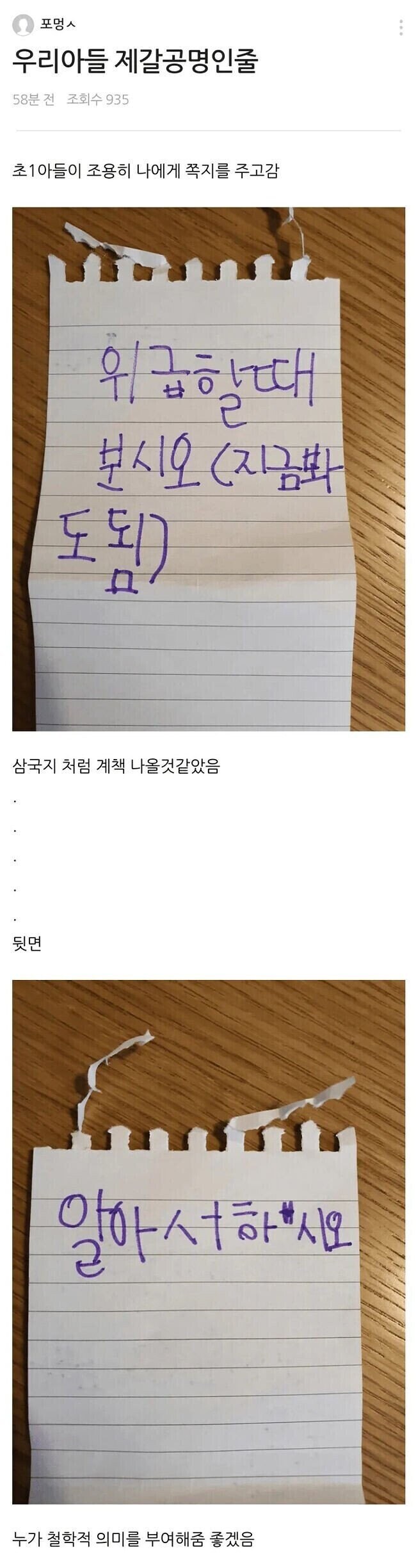 전생에 제갈량이 의심되는 아들.jpg_1.png