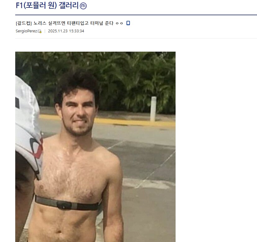 F1갤 념글을 절대 보지 마_1.png