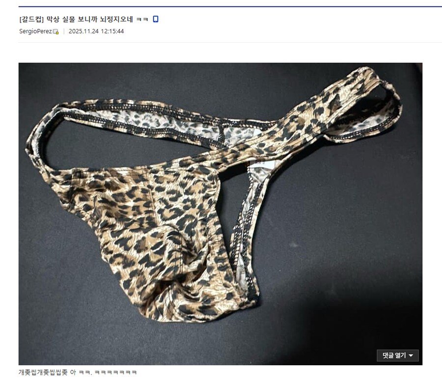 F1갤 념글을 절대 보지 마_3.png