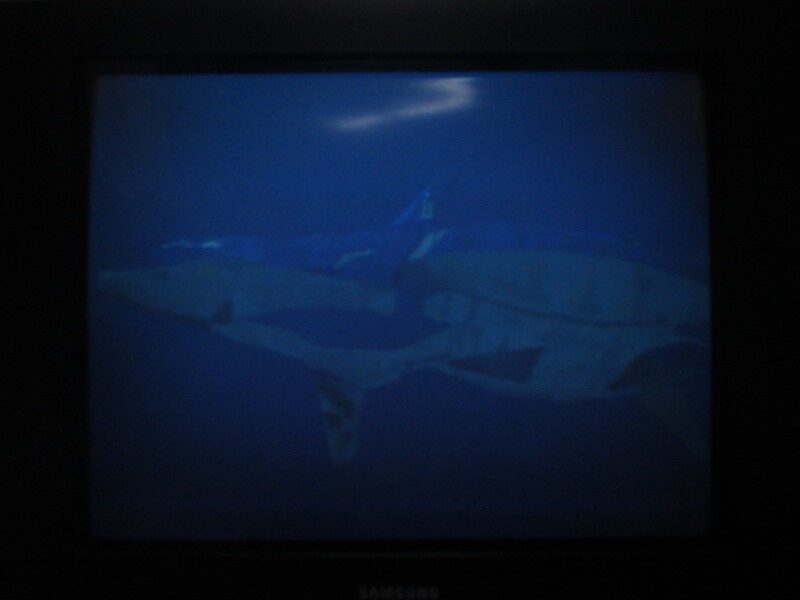 청의 6호 안타티카 (1)_37.jpg