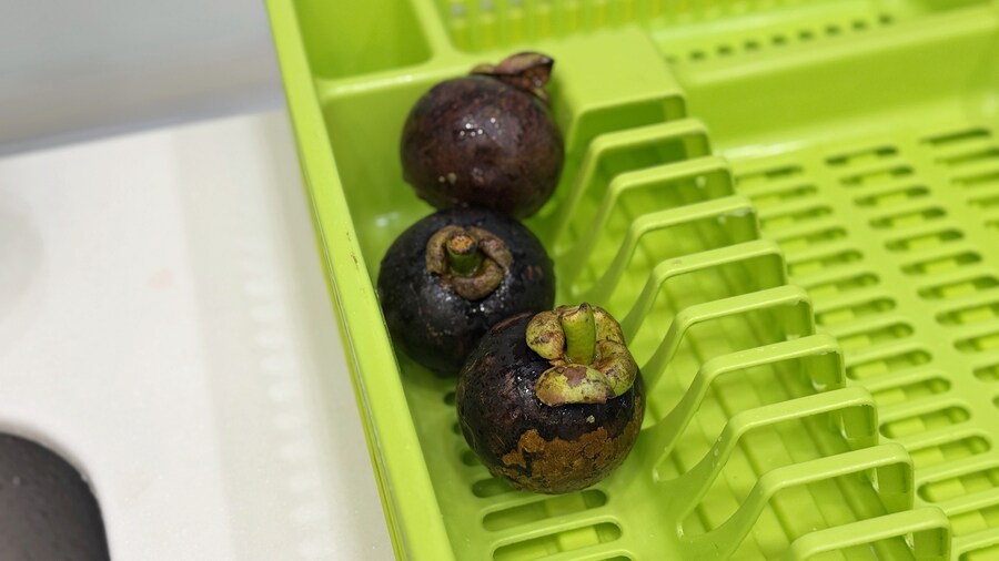 밖에서 밥 먹습니다 - 코타키나발루, Boya Imago_13.jpg