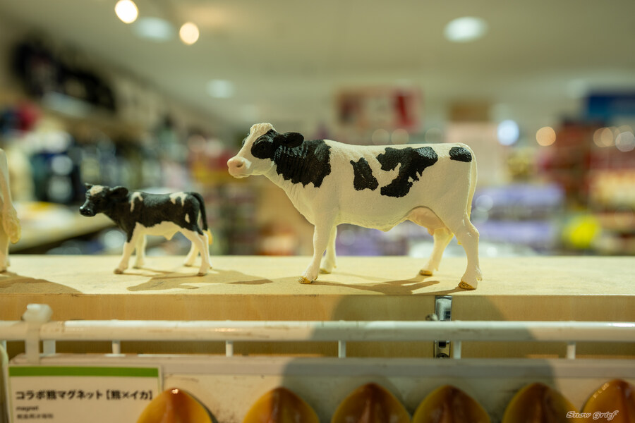 일본 북해도 4박5일 여행기 (스압주의)_22.jpg