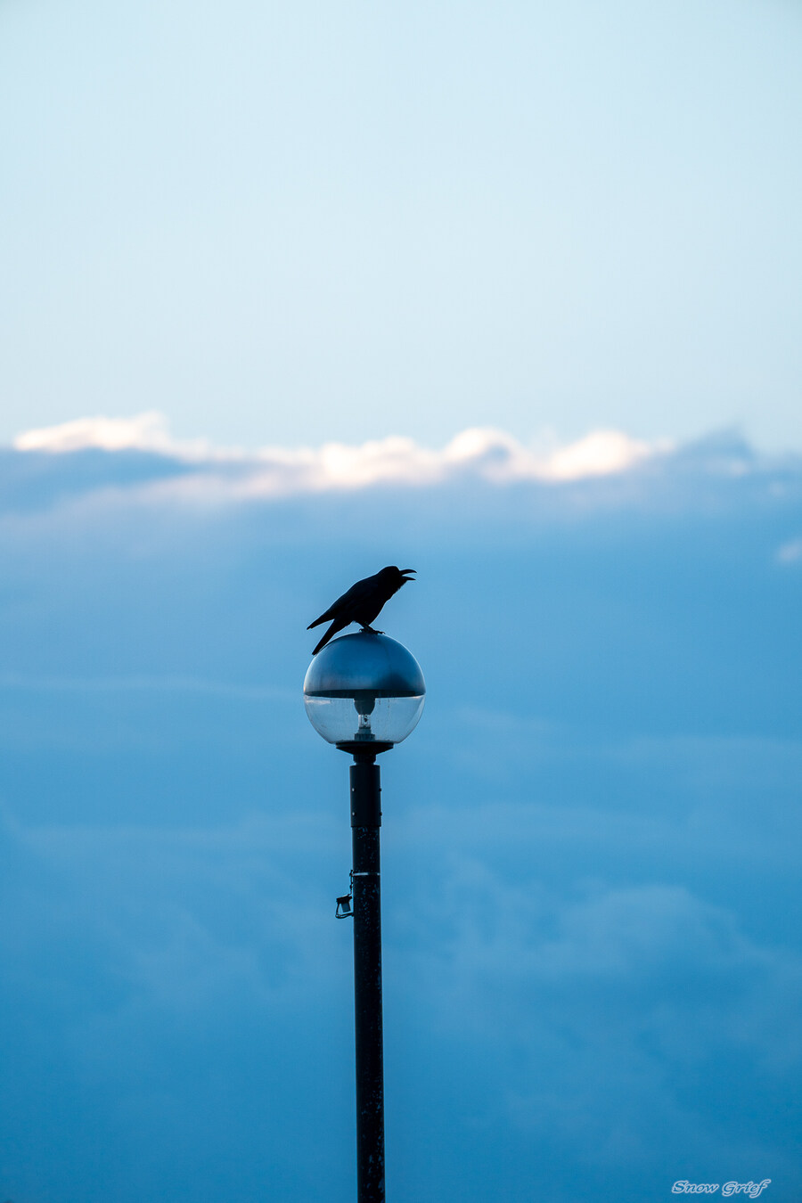 일본 북해도 4박5일 여행기 (스압주의)_49.jpg