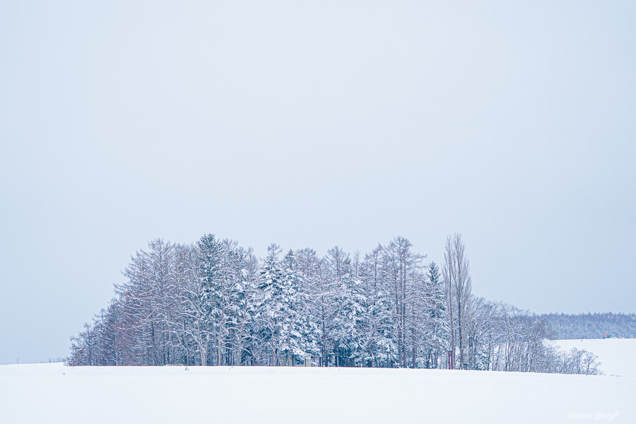 일본 북해도 4박5일 여행기 (스압주의)_198.jpg