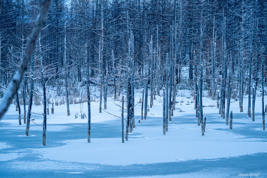 일본 북해도 4박5일 여행기 (스압주의)_216.jpg