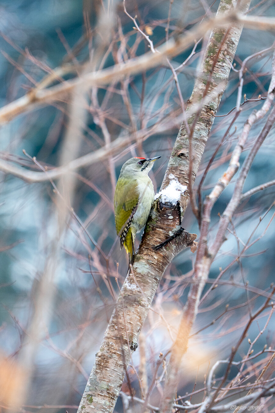 일본 북해도 4박5일 여행기 (스압주의)_261.jpg