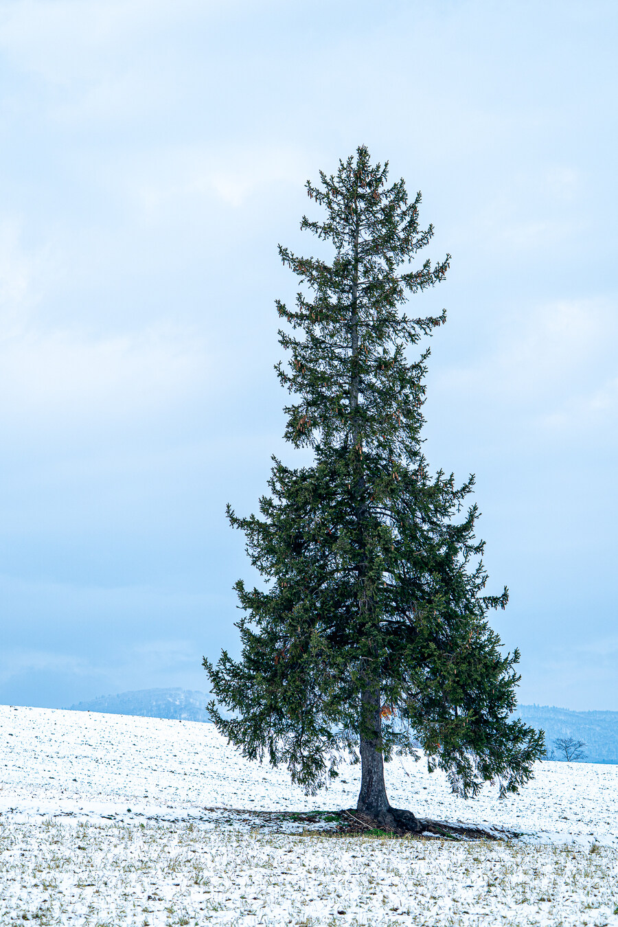 일본 북해도 4박5일 여행기 (스압주의)_278.jpg
